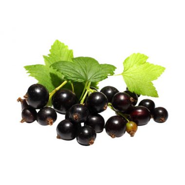 blackcurrant-e-liquid