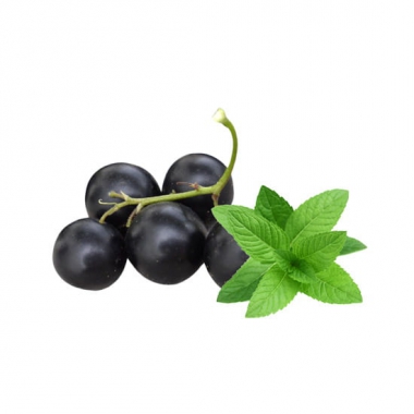blackcurrant-menthol-e-liquid