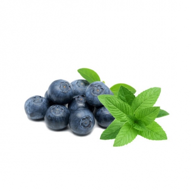 blueberry-menthol-e-liquid
