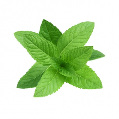 menthol-e-liquid