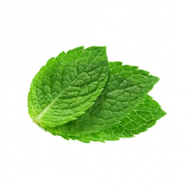mint-e-liquid