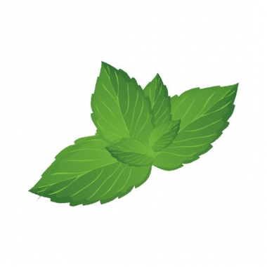mint-menthol-flavour-concentrates