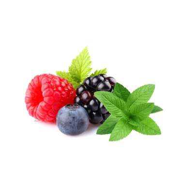 berry-menthol-e-liquid