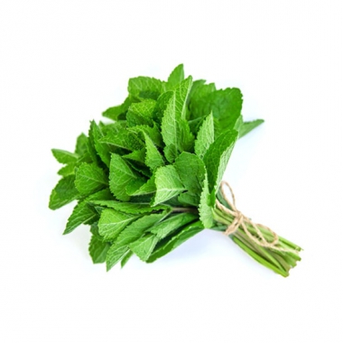 garden-mint-e-liquid